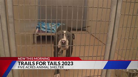 Annual Trails for Tails Event: fun for the whole family in St. Charles today